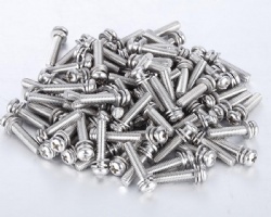 Stainless Steel Screws